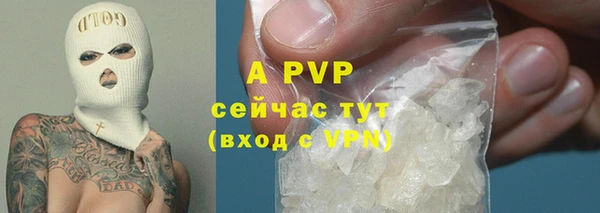 молекула духа Балахна
