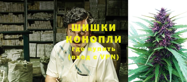 молекула духа Балахна