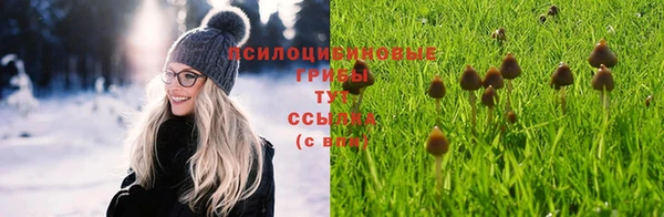 тгк Баксан